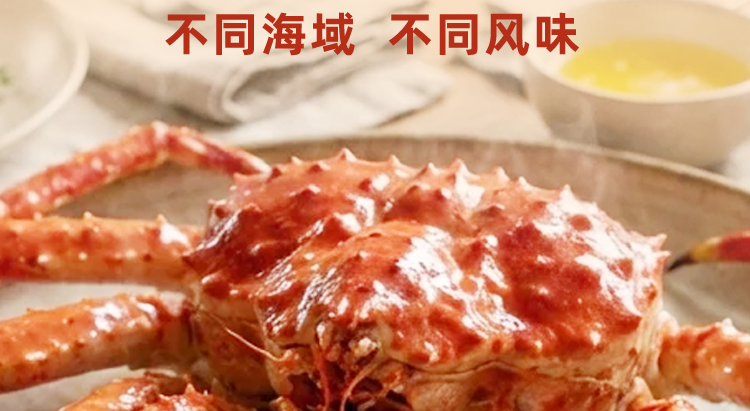 不同海域，帝王蟹各具特色｜俄罗斯蟹业集团带你了解帝王蟹的风味地图