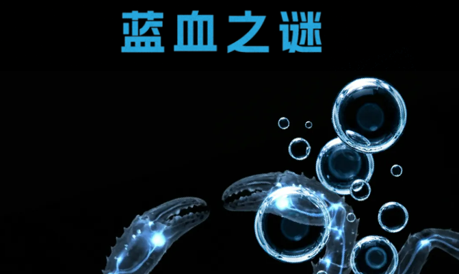 帝王蟹的血为什么是蓝色的？｜俄罗斯蟹业集团揭开“蓝血”背后的生命密码