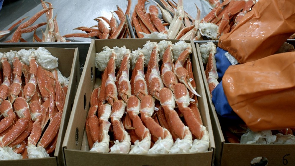 俄罗斯蟹业集团发布2021年第一季度的运营业绩报告